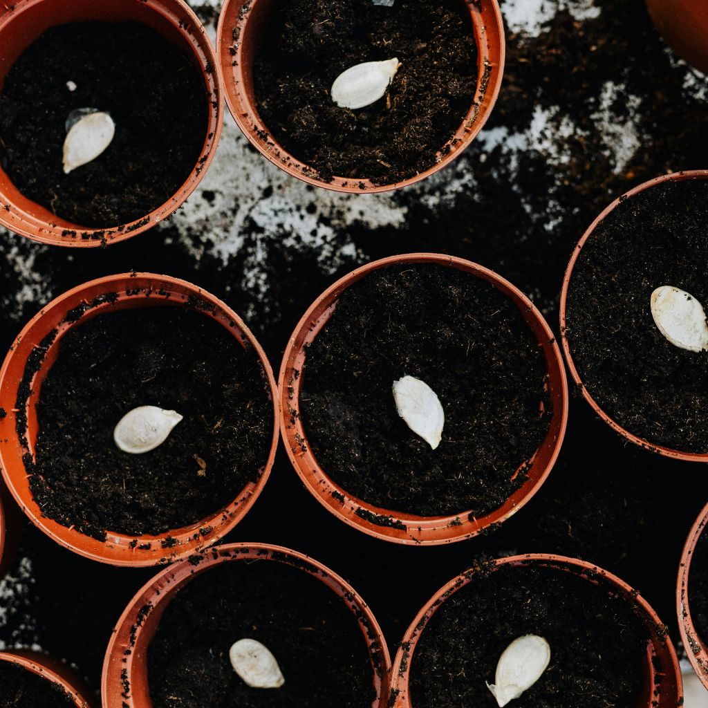 Návrh bez názvu (58)